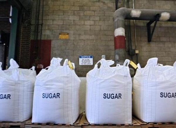 Sugar Stocks: કેન્દ્રના આ નિર્ણયોથી સુગર શેરો 10 ટકા સુધી ઘટ્યા, જાણો કારણ