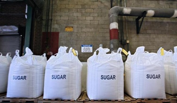 Sugar Stocks: કેન્દ્રના આ નિર્ણયોથી સુગર શેરો 10 ટકા સુધી ઘટ્યા, જાણો કારણ