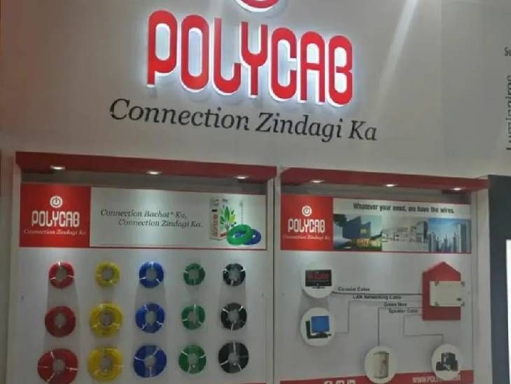 Polycab Indiaનો શેર 21% તૂટ્યા બાદ આજે 5 ટકા સુધર્યો, જાણો કારણ