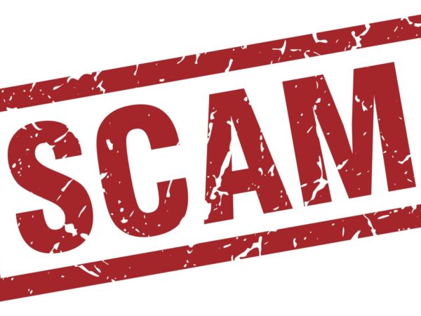 EDએ દુબઈ સ્થિત ઓપરેટર ટિબ્રેવાલા સાથે લિંક ધરાવતા 13 એકાઉન્ટ ફ્રીઝ કર્યા