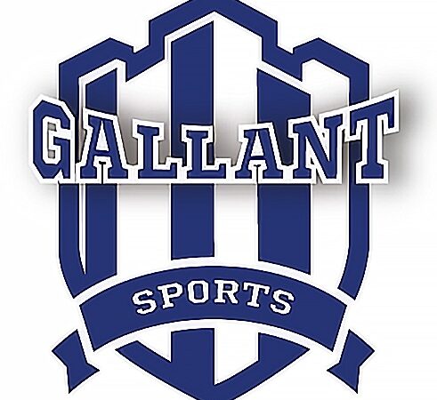 Gallant Sports 23 પ્રીમિયર ઈન્ફ્રાસ્ટ્રક્ચર પ્રોજેક્ટ્સ સાથે ગુજરાતના સ્પોર્ટ્સ ક્ષેત્રને વિસ્તૃત કરે છે